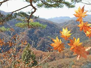 单县蓝天婚纱摄影（山亭蓝天婚纱摄影）